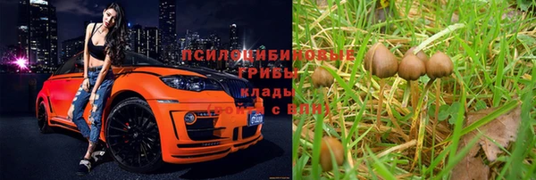 ешки Анива