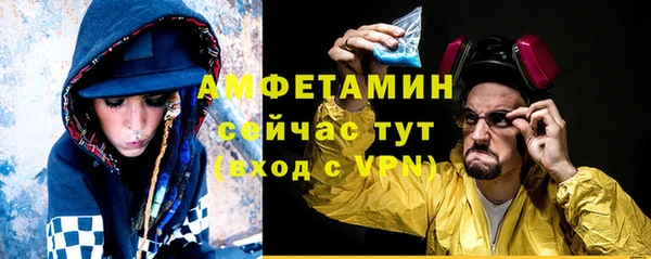 гидропоника Анжеро-Судженск