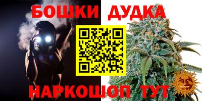 apvp Гагарин
