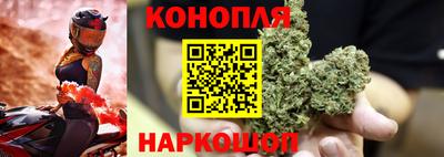 эйфоретик Гатчина
