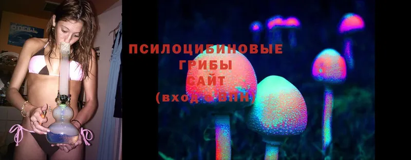 сколько стоит  Избербаш  Псилоцибиновые грибы MAGIC MUSHROOMS 