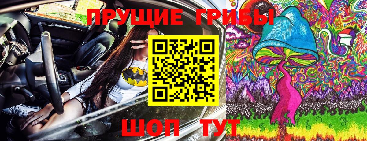 Галлюциногенные грибы прущие грибы Избербаш