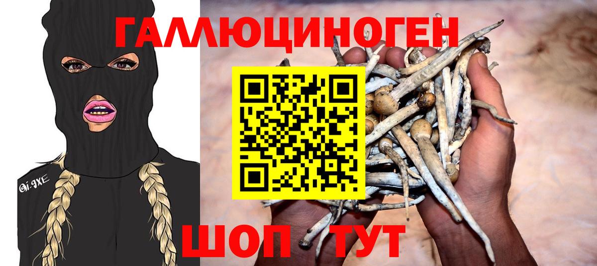 Псилоцибиновые грибы Magic Shrooms  Псилоцибиновые грибы ЛСД  Вход с VPN  Избербаш 